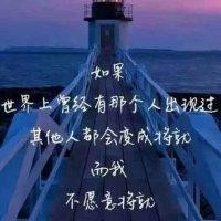 樊先森