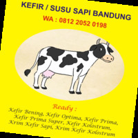 Kefir Bandung