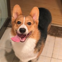 赵江宁