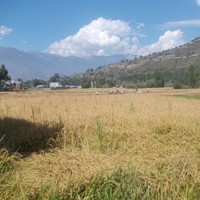 Bosco Dbtech