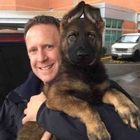 Mike Chicorelli