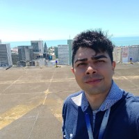 Wellington Teles