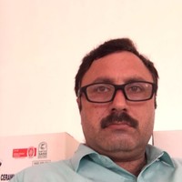 Amirzeb Zfp