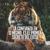 Jhon Cardona