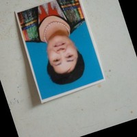李淑芹