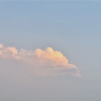 Sky Shi