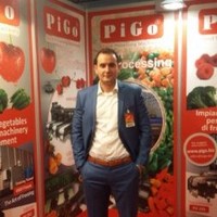 Vedran Hajdarpasic