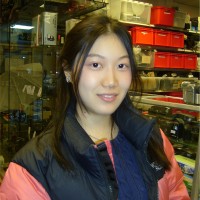 Yurong Dou