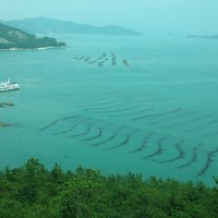 Jungil Kim