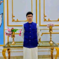 Hammad Chishti
