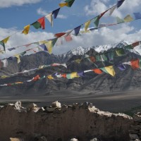 Tenzin Tenzin