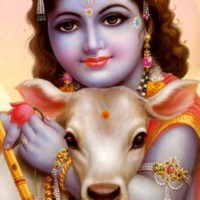 Krishnan.N Krishnan