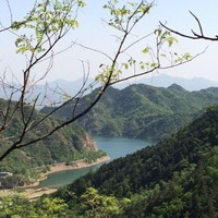Minfei Huang