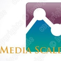 Media Scale