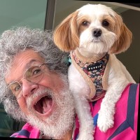 David Winograd