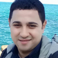 Mohamed Ayoub