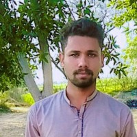 M Ramzan M Ramzan
