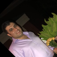 Seyed Hosseini Bagha