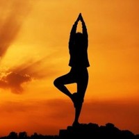 Yoga chakra india