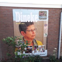 Dineke Verpaalen