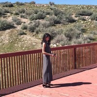 Shuning zheng