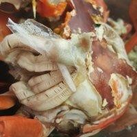 马梅明