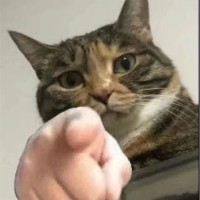 姚颉颃