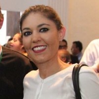 yael reveles meade
