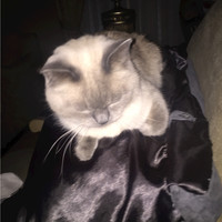 Hector Daniel Lazzarinetti