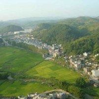 戴志勇