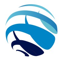 Consultora Vento