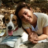 Özge Dinigüzel