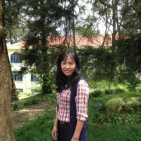 nguyen thi thăng long