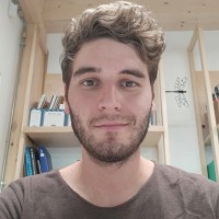 Matteo Guerrini