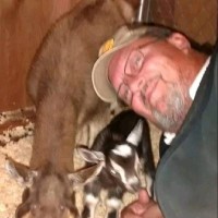 Phil Siebert