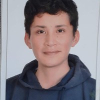 Mario Flores