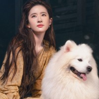 Jolin Zhong