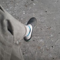 Lacos Taro