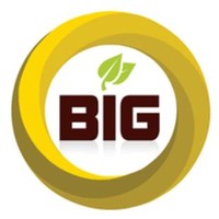 Bahana Informatif Global