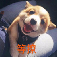 高玉婷Yuki