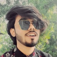 Mr. Koushik