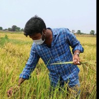 Prashanth Rao