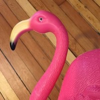 Ned Flamingo