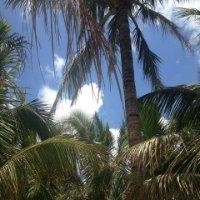 尹吉阳