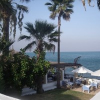Aref Alasmari