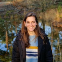 Marit Pattipeilohy