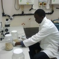Afolabi Megbabi