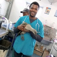 Thobani Zulu