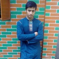zulfikar ahamad