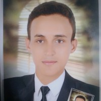 Ahmed Abdel Hameed